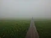 雄国沼から猫魔ヶ岳への道