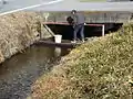 人手による営繕(ゴミ回収)