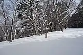 雪に埋もれた大峰山山頂