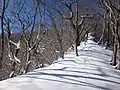 冬はラッセルする必要がある
