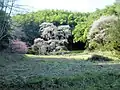 桜の季節