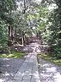 須須神社社叢