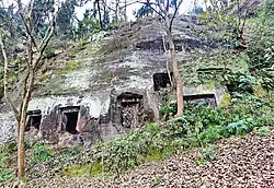 順河崖墓群