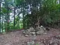 風ノ神土（ハンノキ尾根）