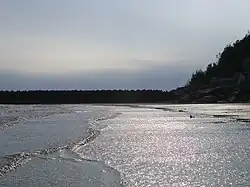 柘林湾の景色