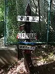 山頂の標識