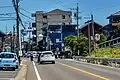 公道を横断する馬
