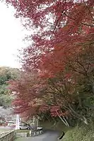 駐車場入り口と紅葉