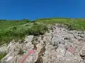 駒ノ小屋直下の岩場