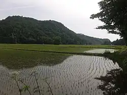 陸奥国骨寺村荘