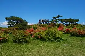 高柴山