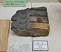 鴟尾柏原市立歴史資料館展示。