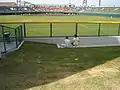 外野から