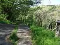 沢根道