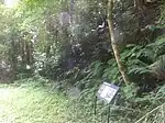 本口間歩跡