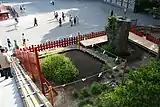 鶴岡八幡宮の倒壊した大銀杏の根から生える蘖
