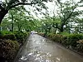 段葛（だんかずら）