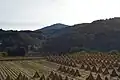 麓から見た日山