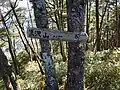 黒沢山山頂。展望はない。