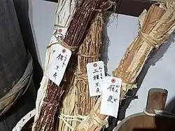 黒谷和紙の原料である植物
