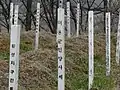 米8軍引き揚げ遺体