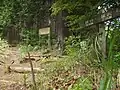甘草水（かんぞうすい）