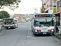 左の日野・ブルーリボンⅡ（T21701）と右のいすゞ・エルガ（T11701）でT701の２台がナンバープレートの違いで分かる。