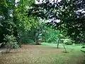 トリニティ・カレッジの木立