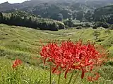 大山千枚田