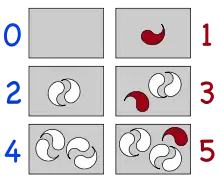 2個ずつのペアになる、0、2、4個の白い物体が入っている左側の箱とペアにならない赤い物体を含んだ1、3、5個の物体が入っている右側の箱