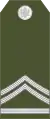 Vodnik 1 klase(モンテネグロ陸軍)