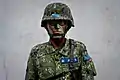 迷彩服姿の陸軍陸軍上士（曹長に相当）（2017年5月）