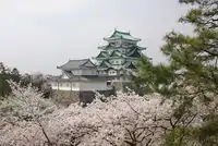 名古屋城・天守