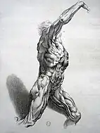 ルーベンスの原画による版画