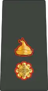 中佐
