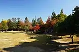 はだしの森