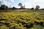 新庄総合公園（2013年12月）