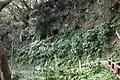 33：平子やぐら群。覚園寺手前から天園へむかうハイキングコースの西面。この先に百八やぐら群がある。
