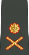 少将