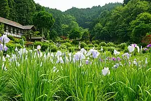 柳生花しょうぶ園