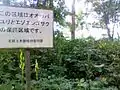 保護区域の看板