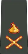 中将