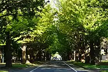 北海道大学構内（2015年10月）