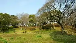 正法寺古墳