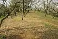 正法寺古墳後円部から見た前方部