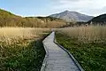 大谷地湿原