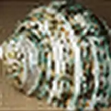 40x40pxのダウンサンプリングされた画像の160x160pxへの4倍フーリエアップサンプリング（エイリアシングあり）