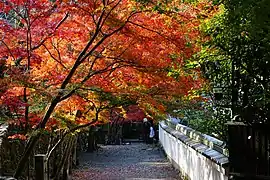 神峯山寺参道