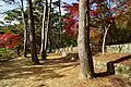 湖岸の石垣と林