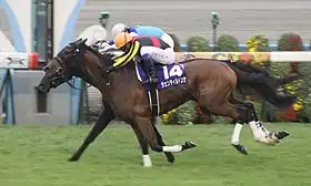 第17回優勝馬ジェンティルドンナ（鞍上、岩田康誠）